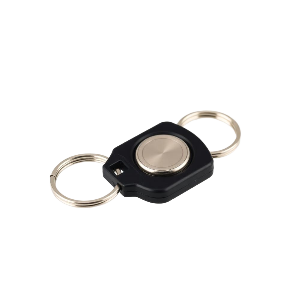 iButton